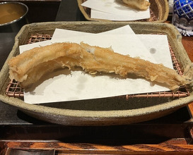 Dinner at Mikawa Zezankyo (みかわ 是山居)