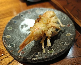 Dinner at Mikawa Zezankyo (みかわ 是山居)