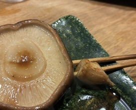 Dinner at Yakitori Mizuki (焼鳥 みずき)
