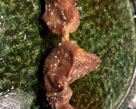 Dinner at Yakitori Mizuki (焼鳥 みずき)
