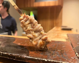 Dinner at Yakitori Mizuki (焼鳥 みずき)