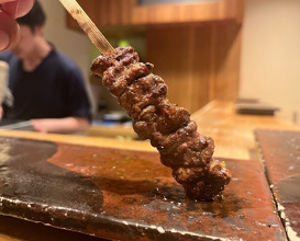 Dinner at Yakitori Mizuki (焼鳥 みずき)