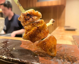 Dinner at Yakitori Mizuki (焼鳥 みずき)