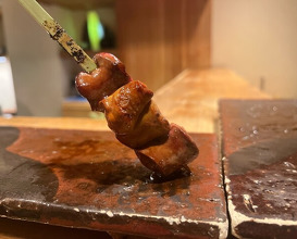 Dinner at Yakitori Mizuki (焼鳥 みずき)