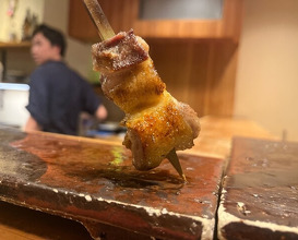Dinner at Yakitori Mizuki (焼鳥 みずき)