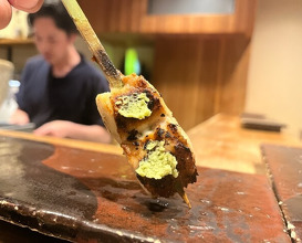 Dinner at Yakitori Mizuki (焼鳥 みずき)
