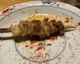 Dinner at Yakitori Mizuki (焼鳥 みずき)