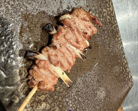 Dinner at YAKITORI Moe es (YAKITORI 燃 es)