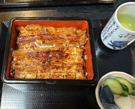 Dinner at Unagi Musashino (鰻 むさし乃)