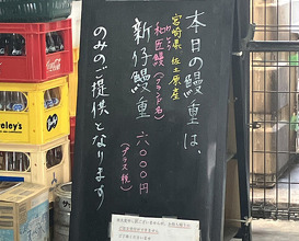 Dinner at Unagi Musashino (鰻 むさし乃)