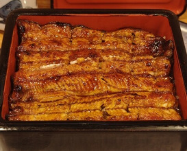 Dinner at Unagi Musashino (鰻 むさし乃)