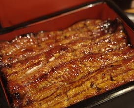 Dinner at Unagi Musashino (鰻 むさし乃)