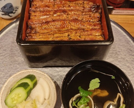 Dinner at Unagi Musashino (鰻 むさし乃)