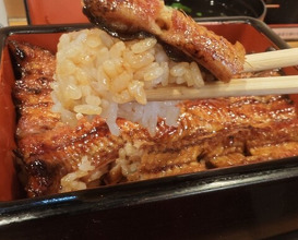Dinner at Unagi Musashino (鰻 むさし乃)