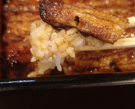 Dinner at Unagi Musashino (鰻 むさし乃)