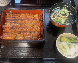 Dinner at Unagi Musashino (鰻 むさし乃)