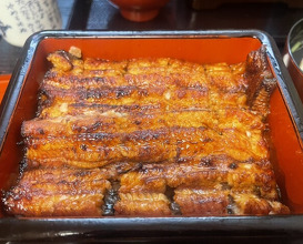 Dinner at Unagi Musashino (鰻 むさし乃)