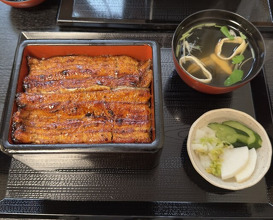 Dinner at Unagi Musashino (鰻 むさし乃)