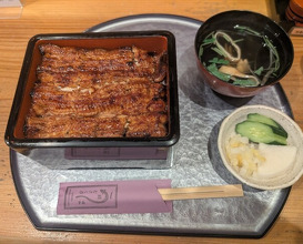 Dinner at Unagi Musashino (鰻 むさし乃)