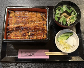 Dinner at Unagi Musashino (鰻 むさし乃)