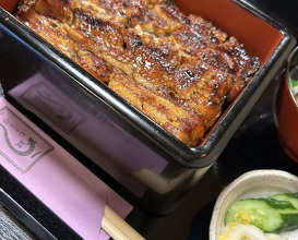 Dinner at Unagi Musashino (鰻 むさし乃)