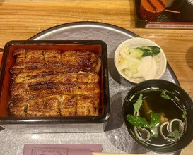 Dinner at Unagi Musashino (鰻 むさし乃)