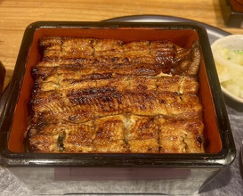 Dinner at Unagi Musashino (鰻 むさし乃)