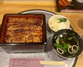 Dinner at Unagi Musashino (鰻 むさし乃)