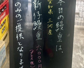 Dinner at Unagi Musashino (鰻 むさし乃)