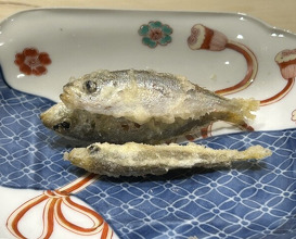 Dinner at Nakamura (Yaizu)