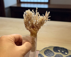 Dinner at Nakamura (Yaizu)