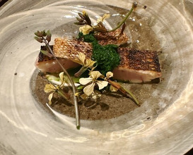 Dinner at Sakana Ryouri Nawa Ya (魚菜料理 縄屋)