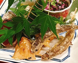 Dinner at Ninomae