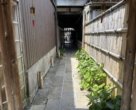 Dinner at Gion Nishikawa