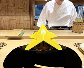 Dinner at Gion Nishikawa