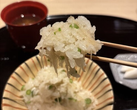 Dinner at Gion Nishikawa