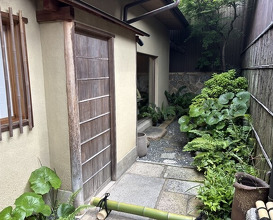 Dinner at Gion Nishikawa
