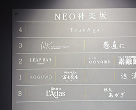 Dinner at NK (New Wonderful Companions feat. Kakuland)