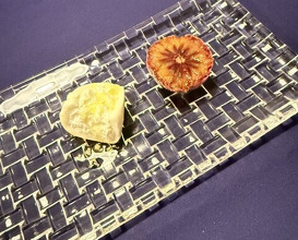 Dinner at Namae no Nai Italia Ryori Ten (名前のないイタリア料理店)