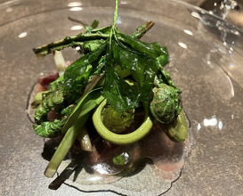 Dinner at nôtori (nôtori)