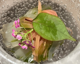 Dinner at nôtori (nôtori)