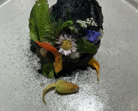 Dinner at nôtori (nôtori)