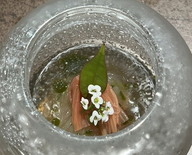 Dinner at nôtori (nôtori)