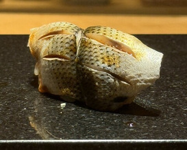 Dinner at Sushi Oohata (寿し おおはた)
