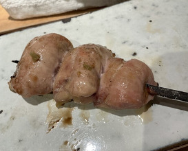 Dinner at Yakitori Omino