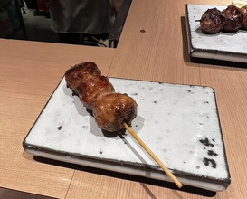 Dinner at Yakitori Omino