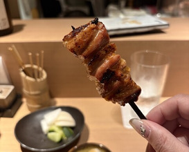 Dinner at Yakitori Omino