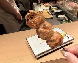 Dinner at Yakitori Omino