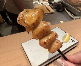 Dinner at Yakitori Omino