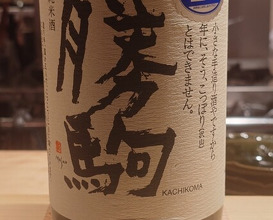 Dinner at Sharikimon Onozawa